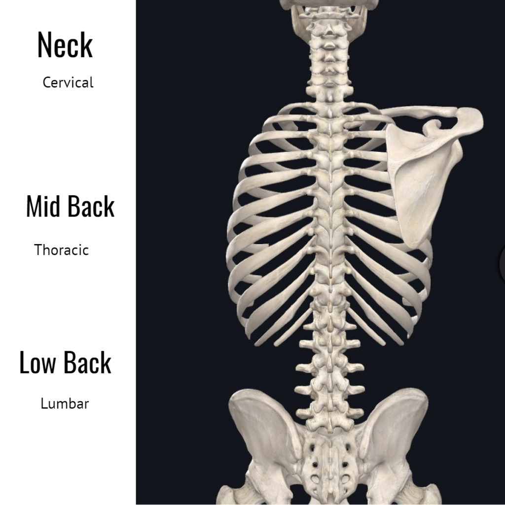 Mid back pain causes and treatment in Cincinnati